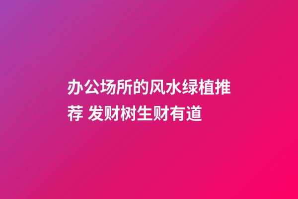办公场所的风水绿植推荐 发财树生财有道